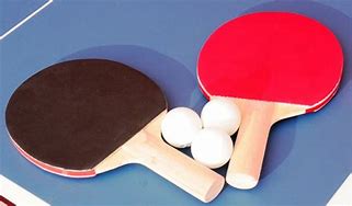 Image result for Butterfly USA Table Tennis