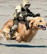 Image result for Star Wars Dog Creatures