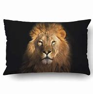 Image result for Lion King Pillow