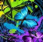 Image result for White Butterfly Wallpaper iPhone
