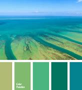 Image result for Aqua Color Scheme