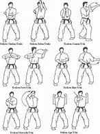 Image result for Types of Karate Okinawa