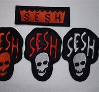 Image result for Bones Sesh