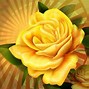 Image result for Yellow Rose Phone Wallpaper