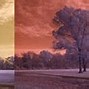 Image result for Infrared Fujifilm