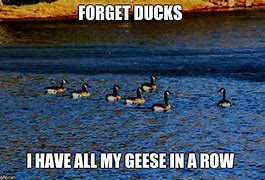 Image result for Goose Memes