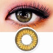 Image result for Copper Vision Toric Contact Lenses