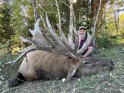Image result for Biggest Elk Ever Killed