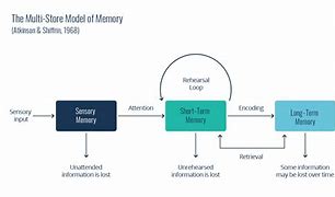 Image result for Information Process Model of Memory