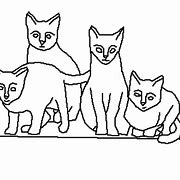 Image result for Four Cats Meme