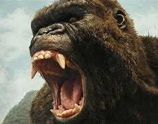 Image result for Fat King Kong