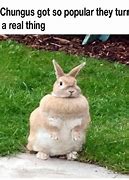 Image result for big chungus memes