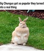 Image result for Funny Big Chungus Memes