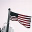 Image result for US Flag Photo Portrait