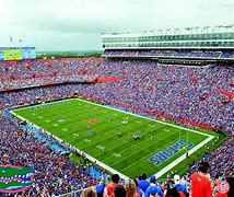 Image result for Florida Gators Football Stadium