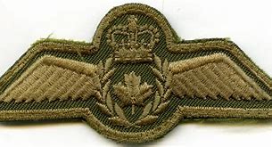 Image result for RCAF Wings