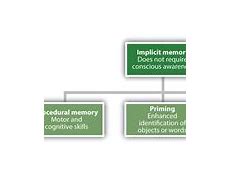 Image result for Types of Memory Im Computer