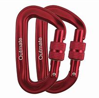 Image result for EZ Clip Heavy Duty Carabiner Style Clip