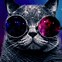 Image result for Trippy Cat Galaxy Wallpaper