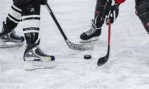 Image result for Hockey Ice Frome Above