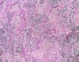 Image result for Purple Texture