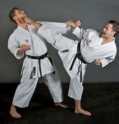 Image result for Karate Fighter
