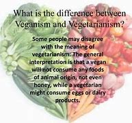 Image result for Vegan vs Vergitarian