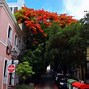 Image result for Old San Juan Attractions Map