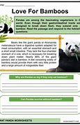 Image result for Giant Panda with Bamboo for Kindergarten