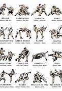 Image result for martial arts fighting tips