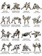 Image result for Best Offense Fighting Style