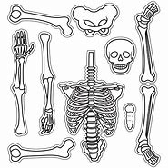 Image result for Skeleton Cartoon Cut Out
