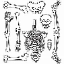 Image result for Skeleton Cutouts