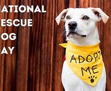 Image result for National Rescue Dog Day Clip Art
