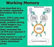 Image result for Visual Working Memory
