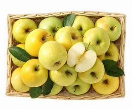 Image result for Dorsett Golden Apple