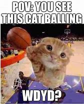 Image result for Cat Ballin Meme