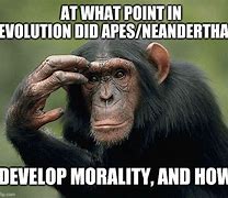 Image result for Monkey to Human Evolution Meme