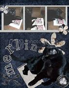 Image result for Happy Birthday Merlin for Cats