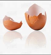Image result for Cracked Egg Aesthetic