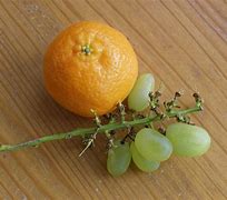Image result for Orange Grapes