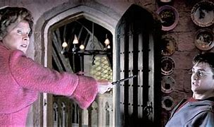 Image result for Harry Potter Umbridge Crucio