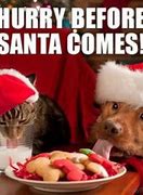 Image result for Holiday Is Coming Meme