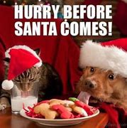 Image result for Funny Halloween Christmas Memes
