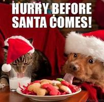 Image result for Excited Christmas Meme