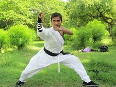 Image result for Kung Fu Martial Arts