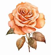 Image result for Rose Gold Flower Wallpaper