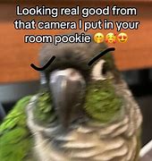 Image result for Waiting for Pookie Meme