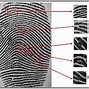 Image result for Color Fingerprint