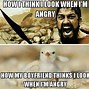 Image result for Girl Yelling at Cat Meme